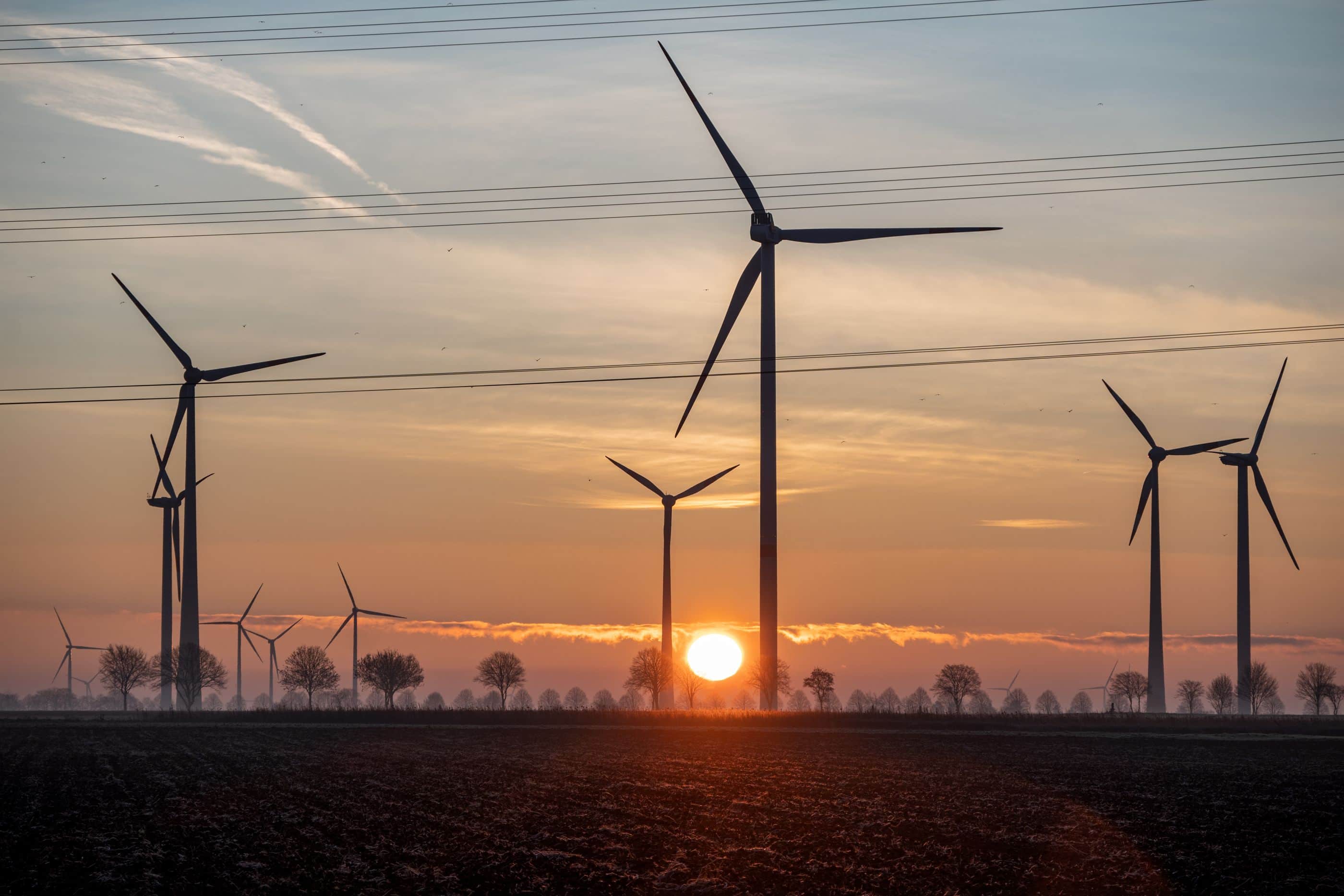 Windmolens en hoogspanningskabels bij zonsopkomst